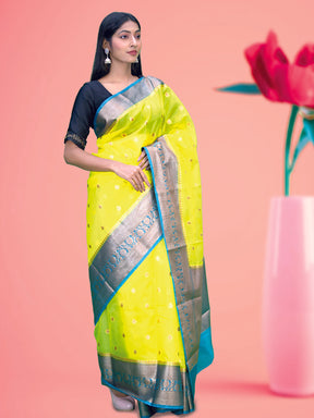 Banarasi Organza Silk Saree