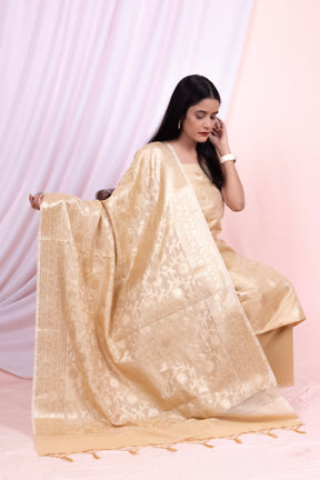 Banarasi Katan Silk Suit