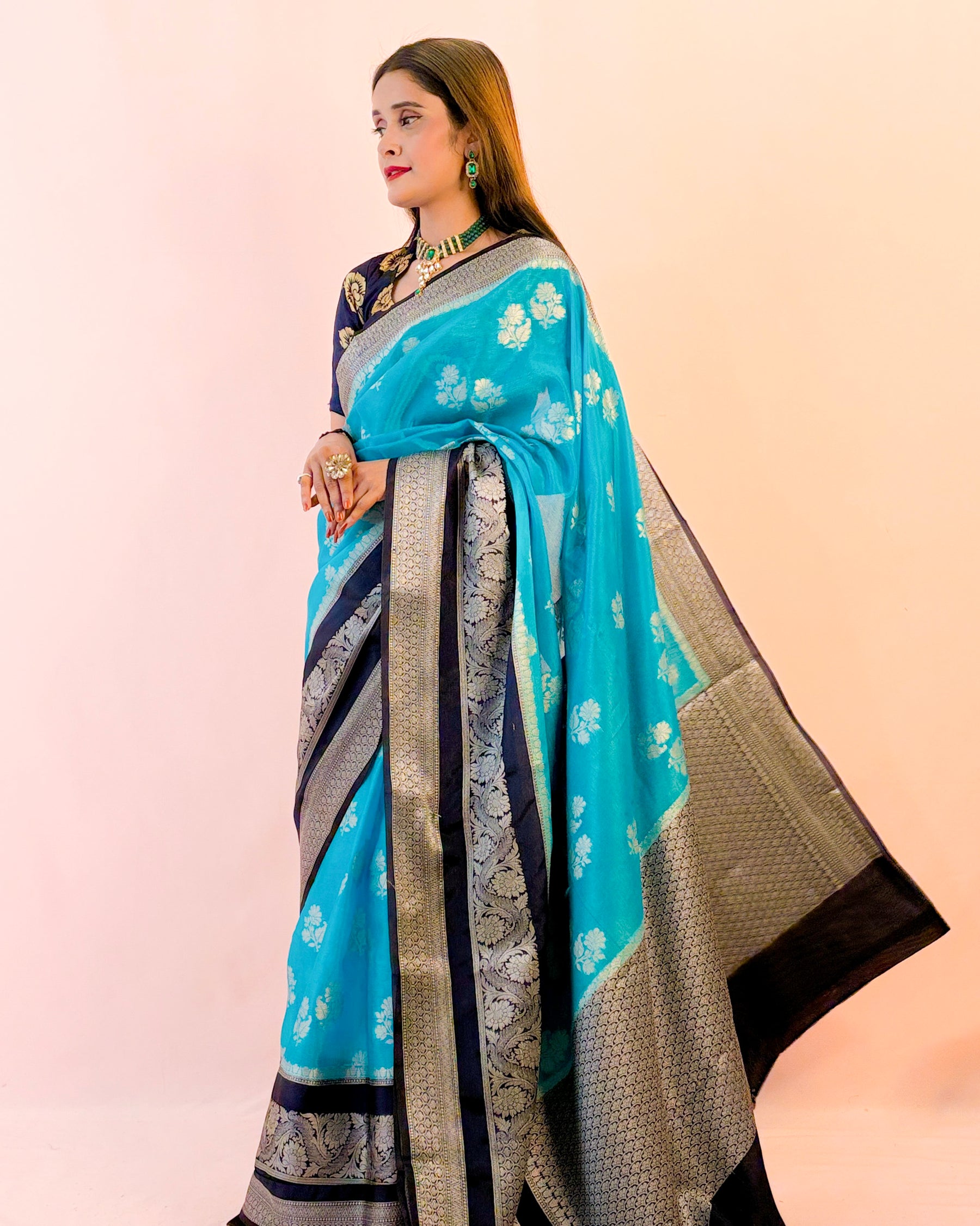 Banarasi Dupion Silk Saree