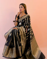 Banarasi Tissue Organza Saree