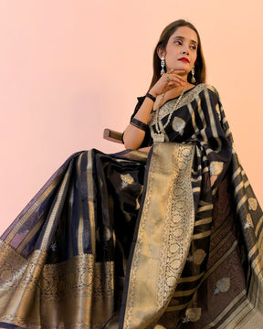 Banarasi Tissue Organza Saree