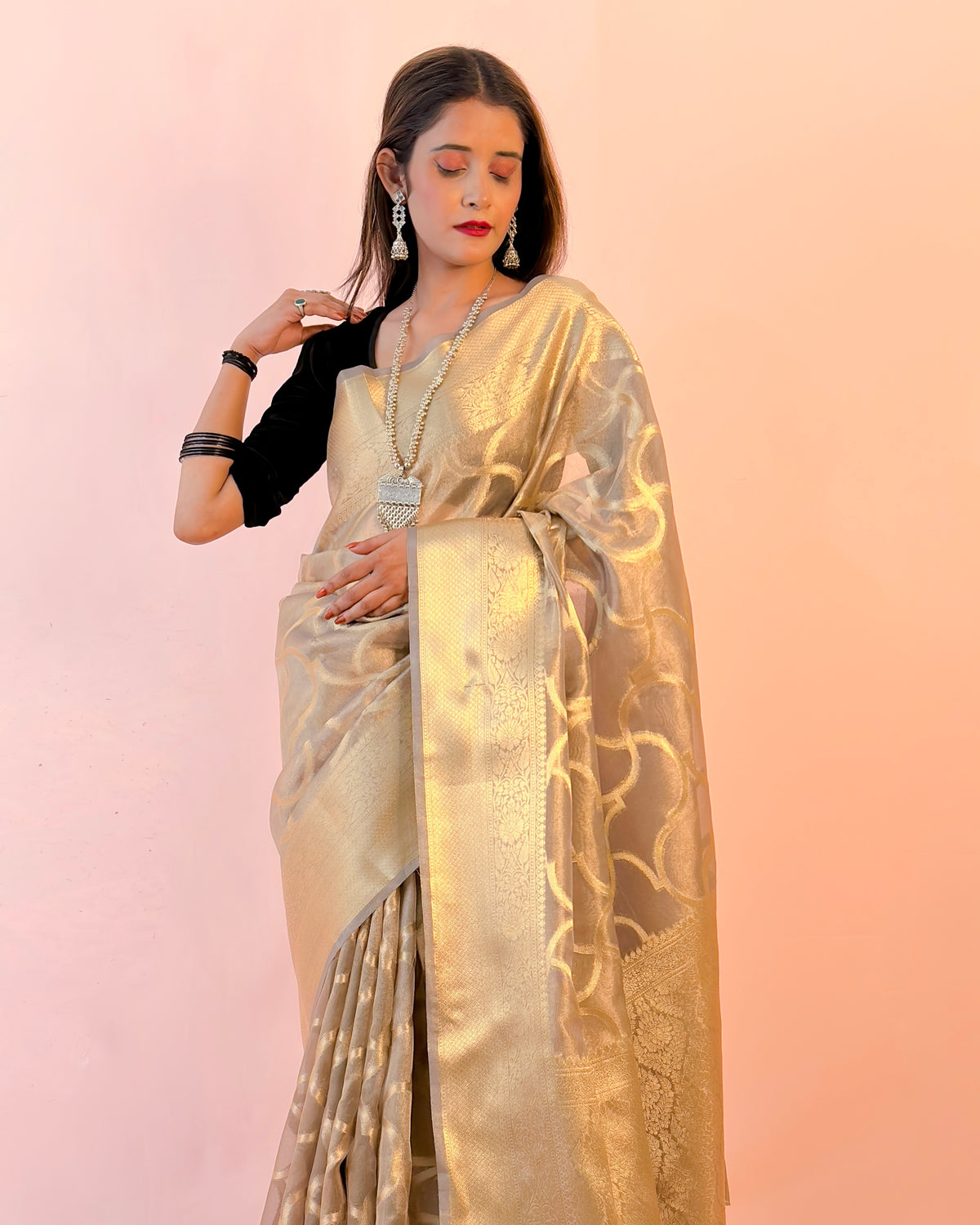 Banarasi Tissue Silk Saree