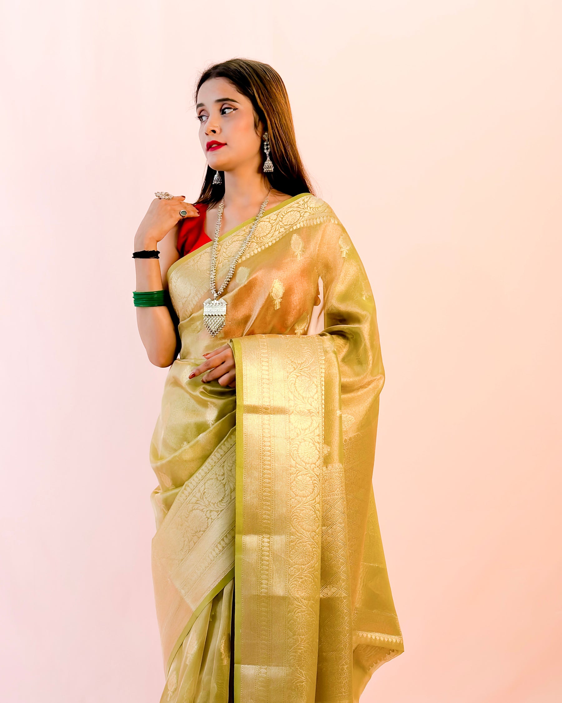 Banarasi Tissue Silk