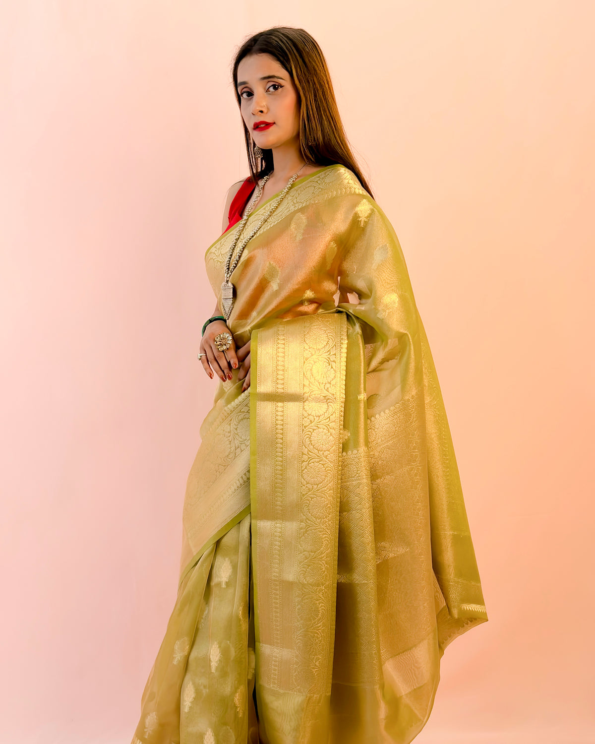 Banarasi Tissue Silk