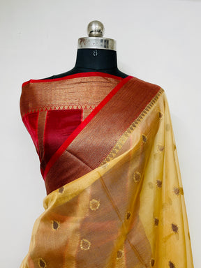 Banarasi Organza Silk Saree