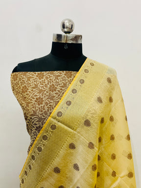 Banarasi Tanchui Silk Suit