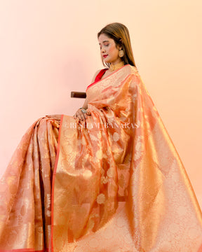 Banarasi Tissue Silk