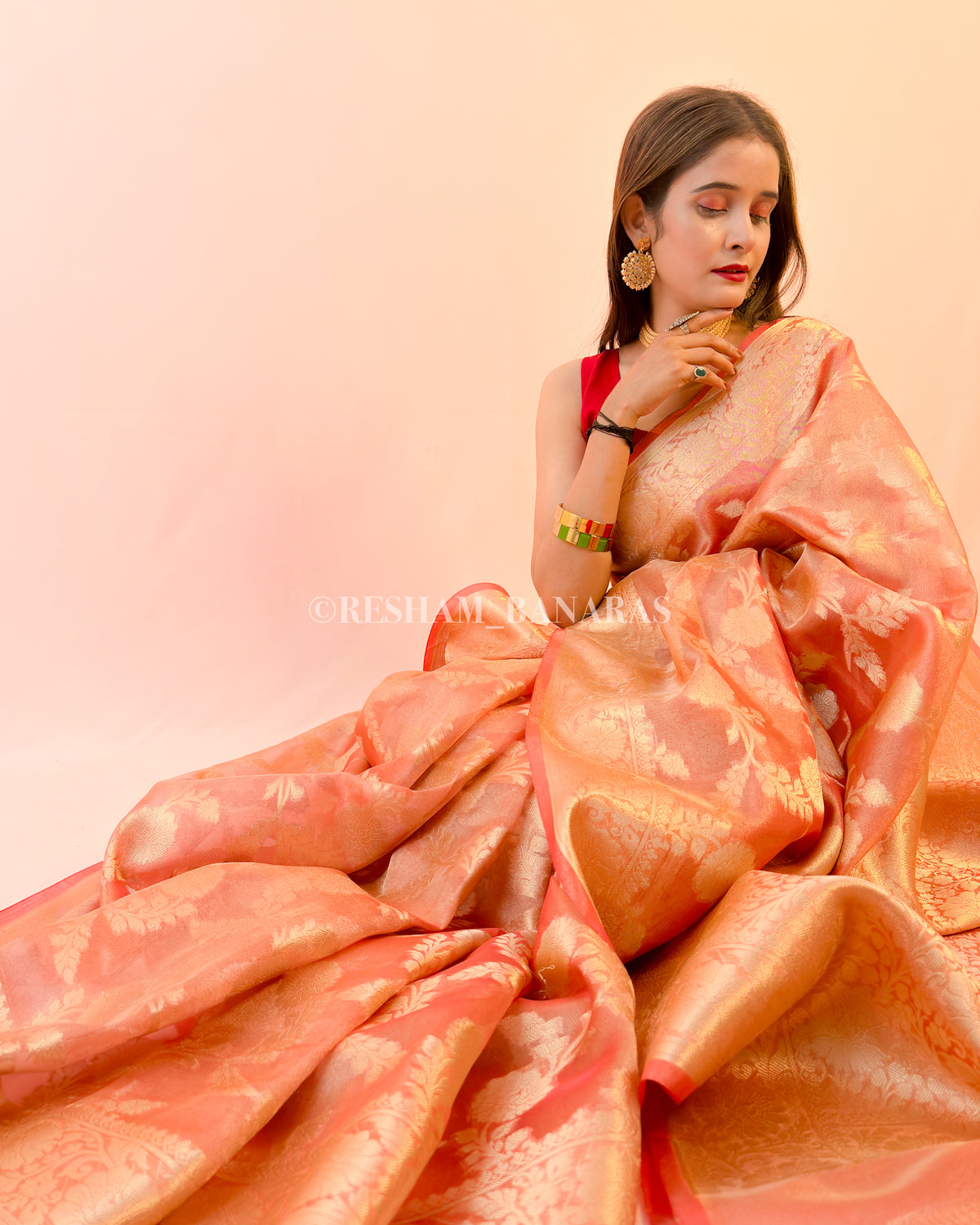 Banarasi Tissue Silk