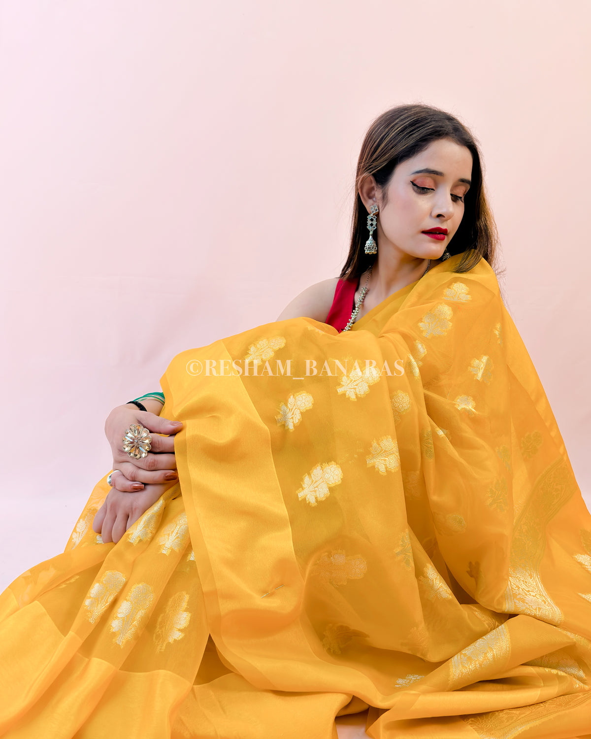 Banarasi Organza Silk