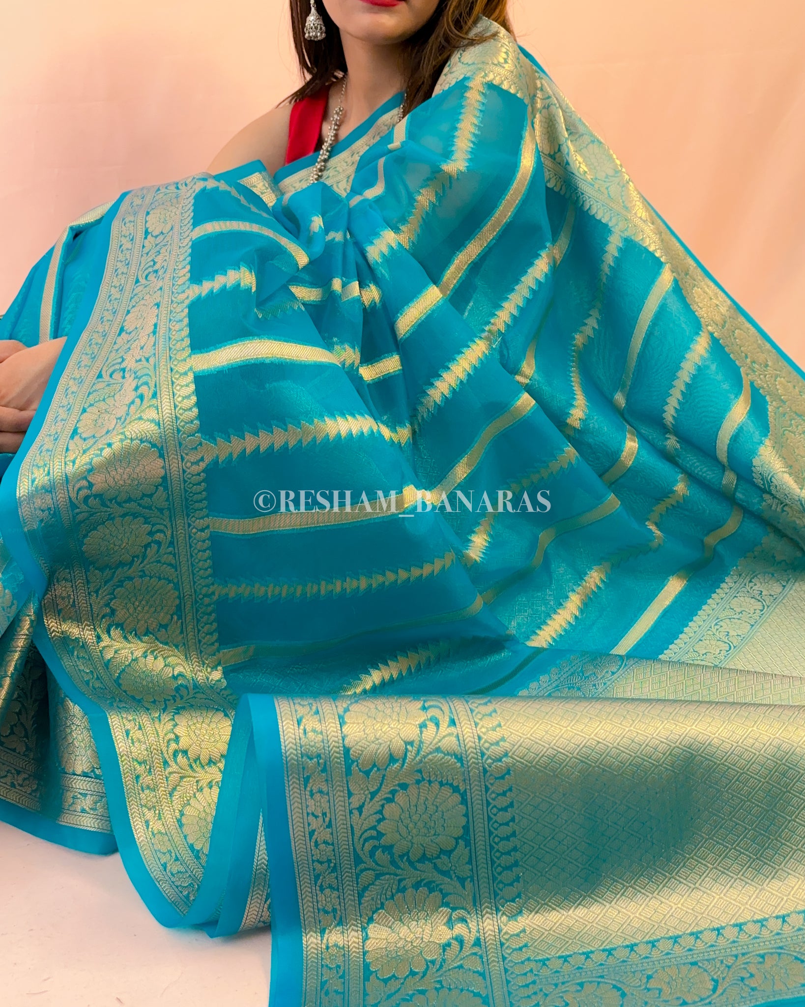 Banarasi Kora Organza Silk