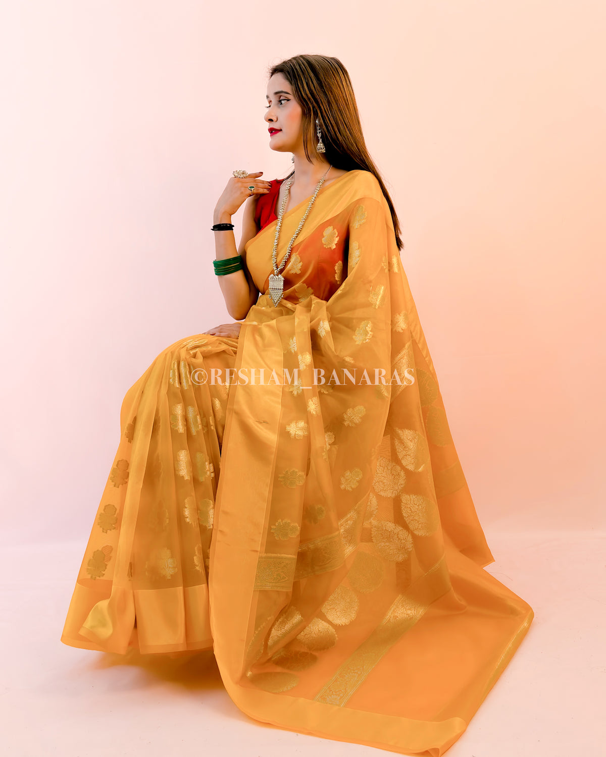 Banarasi Organza Silk